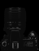 photogallery
